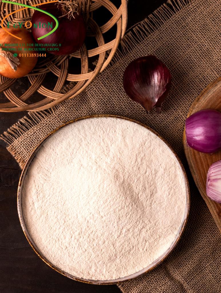 100g dried onion powder